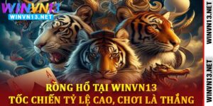Rồng Hổ