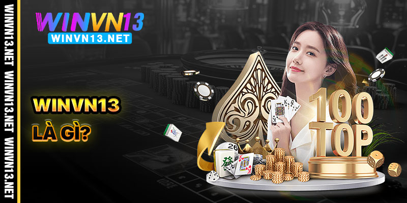Winvn13